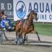 Inter Dominion winner steps in for top Trainor