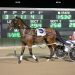 Two-year-old defies it all in $50,000 Sapling Stakes