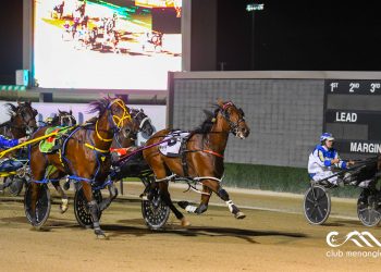 Weekly spotlight on breeding