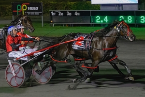 Queensland harness racing wrap