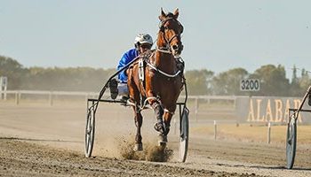 Williamson wins five, Captaintreacherous trifecta