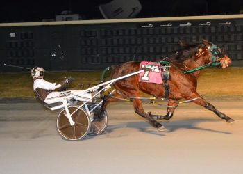 Shes Pukka N finds winner’s circle again