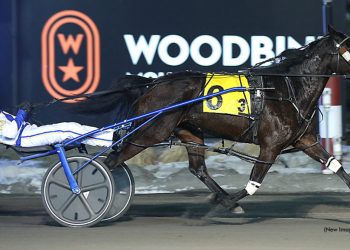 So Much More continues to dominate