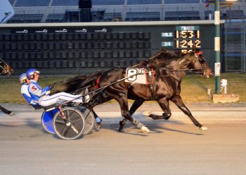 Swan In Motion just holds on in Open Trot