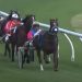 Tidy win for improving trotter