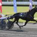 $1 million International Trot returns to Yonkers