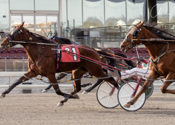 BIG BANG BANG EARNS LIFETIME MARK IN MEADOWS FEATURE UPSET