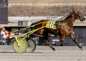 There is no stopping Blue Ivy