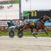 Harness racing controversy over Horse of the Year title