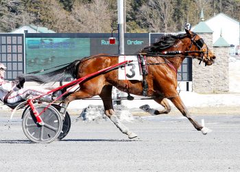 Dewey Arnold grinds out Open Trot score