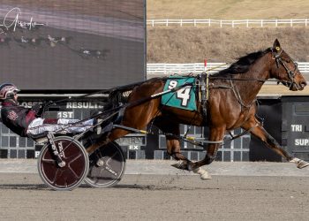 Imma Be stings for fourth time