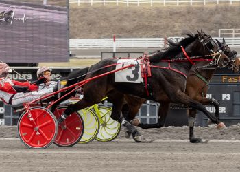 Can Lifeintheslammer continue winning ways