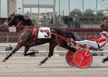 Series sweep, life mark and 7th straight for Lifeintheslammer