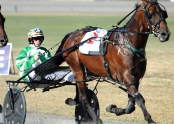 Major draft from Allenby Lodge