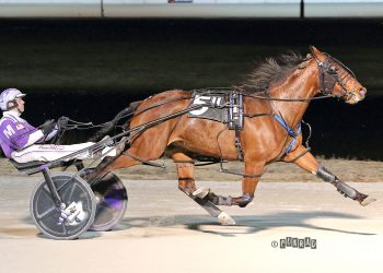 Marloe Hanover finally wins F&M Open Pace