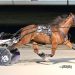Marloe Hanover finally wins F&M Open Pace