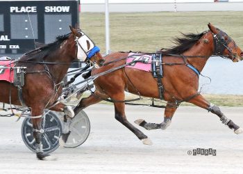 Winning streak continues for Marloe Hanover