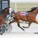Winning streak continues for Marloe Hanover