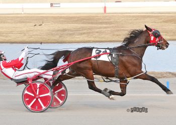 World record set in five-eighths dash