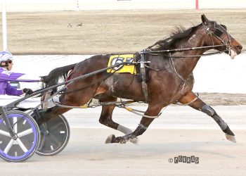 Terick first to 100 wins, $1 million in purses