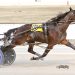Terick first to 100 wins, $1 million in purses