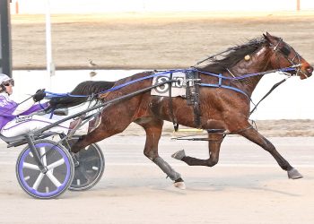 Beissinger Medley final won with “Shine”