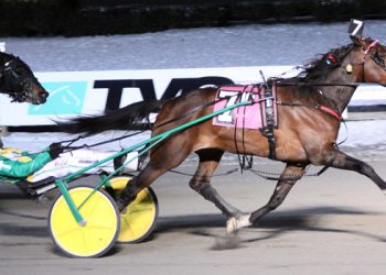 Lovedbythemasses rules in Preferred Trot