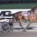 Three pay big money to supplement to Breeders Crown