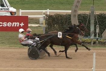 Stakes record set in Pulay Kornel Memorial