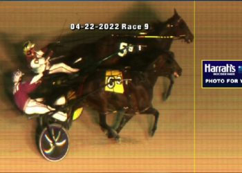 Sectionline Bigry win streak ends in Open