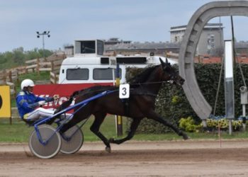 Bolide Lakamy wins Up Star DIJ at Kincsem Park