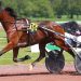 Cleangame wins GNT Paris-Turf 4th Leg