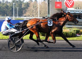 90,000€ Vincennes feature to Ampia Mede SM