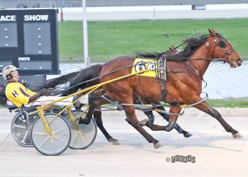 Burke Stable sweeps Hackett Memorial again