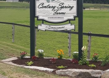 Entry deadline fast approaching for London Yearling Sale