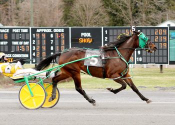 Veteran Cash Me Out takes another at the Spa