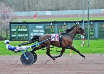 Strong showings in Weiss Series