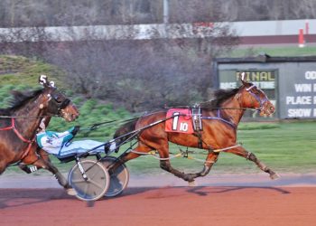 Lifetime mark set in The Downs feature