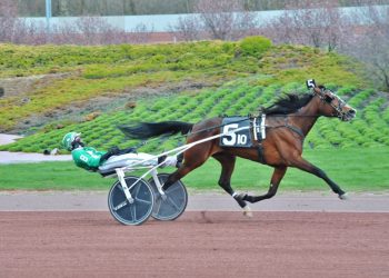 Lady’s Image trots away again