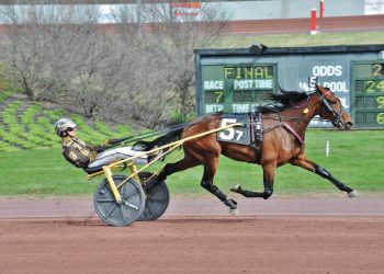 Buter, McCarthy big winners in Weiss Series