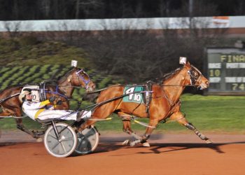 Winning ways continue for Tempura Hanover