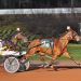 Winning ways continue for Tempura Hanover