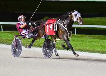 Amateurs shine at Pompano Park