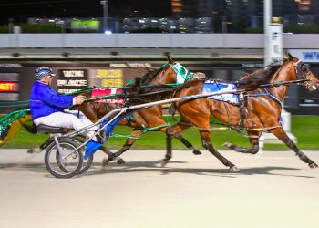 $39,490 raised in Aiello-Prewitt match race