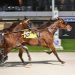 Rick Plano takes both top trots