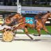 Perfect trip gets Agedchedar Hanover home in Open