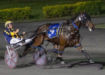 Bucket list ticked off for Queensland couple