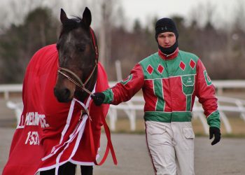 Half of Cumberland race card won by Deslandes