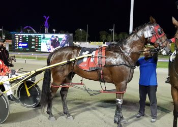 Gloucester Park review