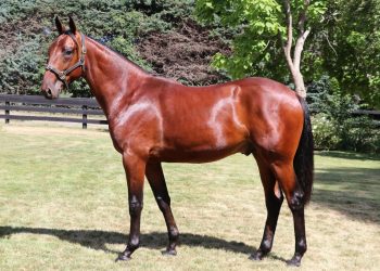 Don’t Stop Dreaming clinches stakes success